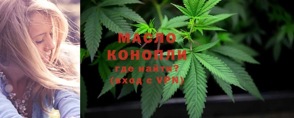 гашик Каменка