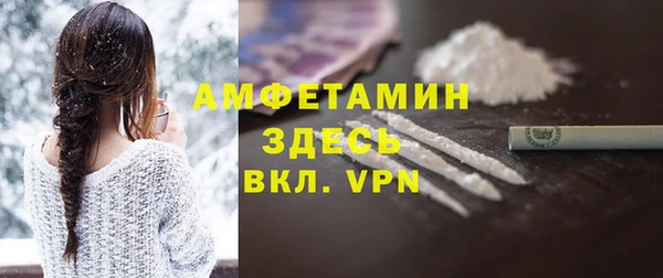 гашик Каменка