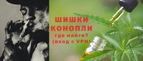гашик Каменка