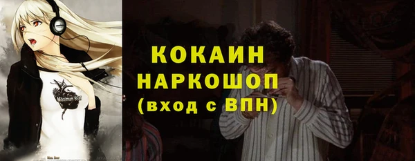 дмт Каменногорск
