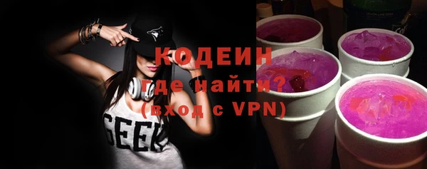 гашик Каменка