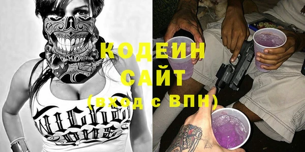 гашик Каменка