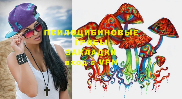 дмт Каменногорск
