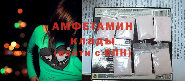 гашик Каменка