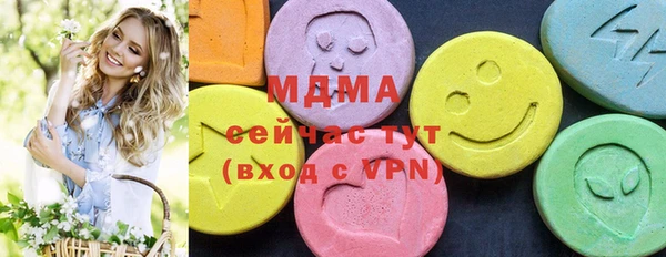 гашик Каменка