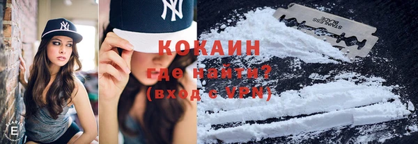 гашик Каменка