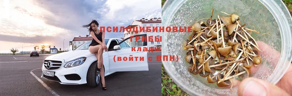 гашик Каменка